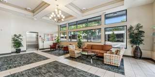 The Felix Gallery 42