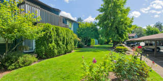 Forest Ridge Gallery 15