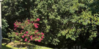 4136 Larigo Drive Gallery 47