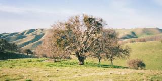 Mira Vista Hills - Affordable Housing Gallery 21