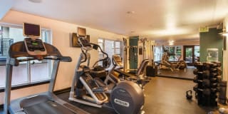 Sidney Sidney Gallery 13