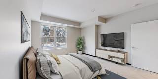 The Shoreham On France Gallery 48