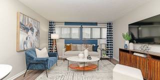 Vetra Lexington Gallery 4