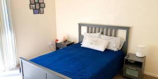 Evergreen Apartments Gallery 36