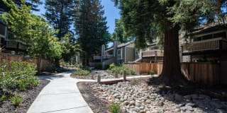 Selby Ranch Apartment Homes Gallery 42