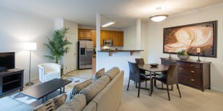 The Cosmopolitan at Lorton Station Gallery 21