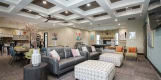 Hollow Tree Park Gallery 30