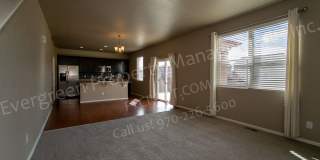 Spacious Home in Timnath Ranch Sub-Div! Gallery 6
