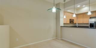 50 SERENE Avenue Gallery 7