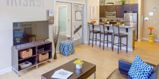 Irish Flats Gallery 10