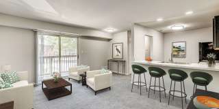 Oasis Gallery 27