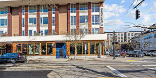 Uptown NW Collection Gallery 36