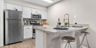 Palms on Scottsdale by Mark-Taylor Gallery 2