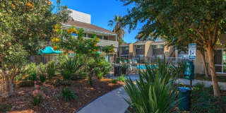 Vue at Lake Murray Apartments Gallery 4