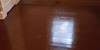 Treetop views in North Avondale Gallery 10