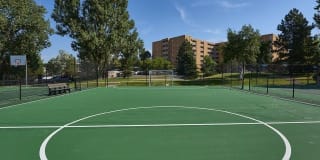 Sage at Panorama Gallery 11