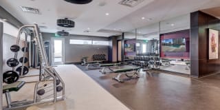 The Christopher Gallery 19