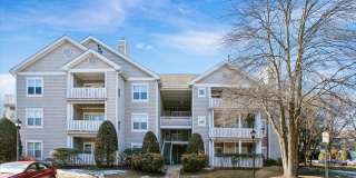 14301 Grape Holly Grv Apt 34 Gallery 1