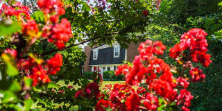 Mordecai On Clover Gallery 13