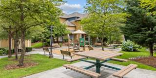 Evans Creek Gallery 31