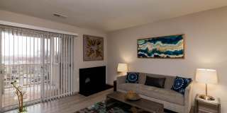 Beech's Farm Gallery 16