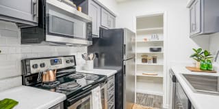 Treehouse Apartments Gallery 7