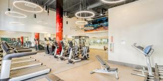 Dublin Station by Windsor Gallery 3