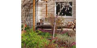 1438 W Oak Street Gallery 9