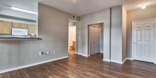 Saddle Creek Gallery 6