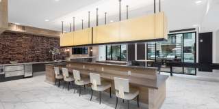 Onyx North Central Gallery 20