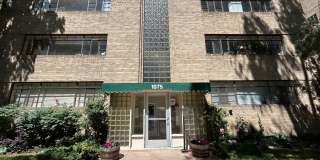 Panama Panama Gallery 1