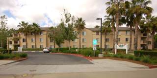 Sunny Creek Gallery 27