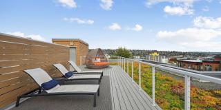 Leva on Market Gallery 24