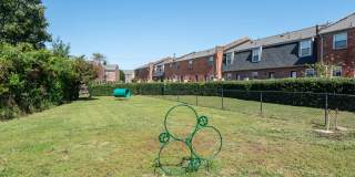 Maple Bay Gallery 20