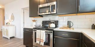 One41 Wellington Gallery 25