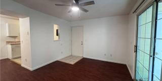519 Mystic Drive Gallery 11