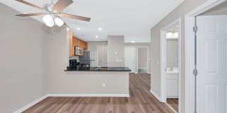 Stuart Hill Gallery 5