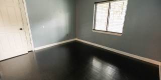4 Bedroom/2 Bath Home in FSU Area Gallery 25