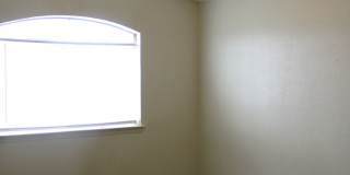 11008 Rogers Hornsby Gallery 12