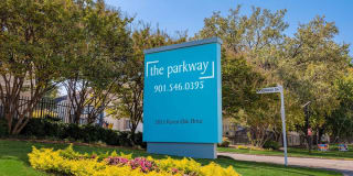 The Parkway Gallery 7