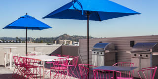 The Brand Gallery 25