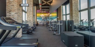 Alea Miami Gallery 8