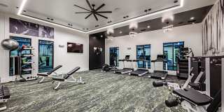 The Darley Gallery 7