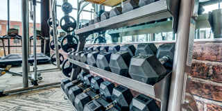 Mason at Alameda Station Gallery 42