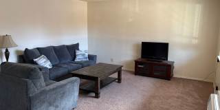 Ponderosa Pines Gallery 1