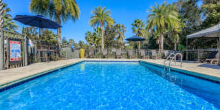 Carmendy Square Townhomes Gallery 1