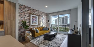 Novo Las Olas Gallery 4