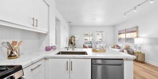 The Elinor Gallery 38