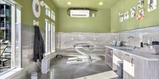 Polaris Junction Gallery 36