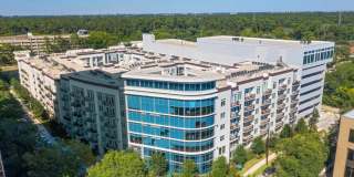 Reverie at River Hollow Gallery 2